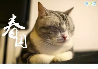 上班累的说说朋友圈