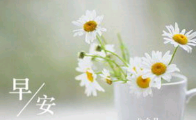 早安做生意朋友圈高质量句子