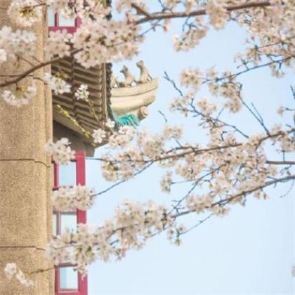 微信个性签名 10元格调香烟图片