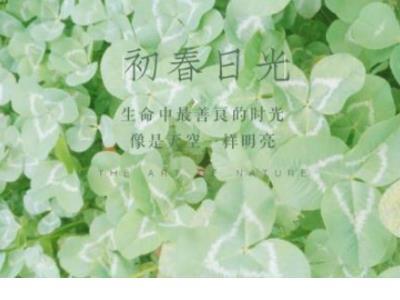 女人幸福的经典语录 关于幸福的句子经典