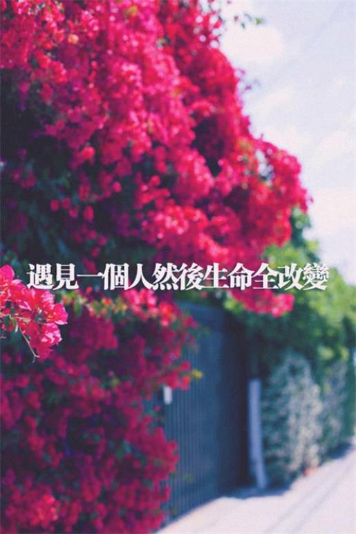 失落的句子说说心情 上班了