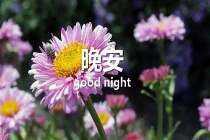 很感人的句子去逝 感人的情话