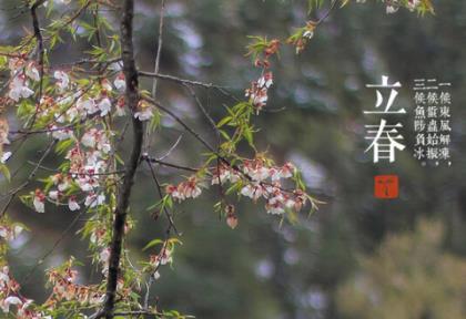 七言春节对联带横批牛年