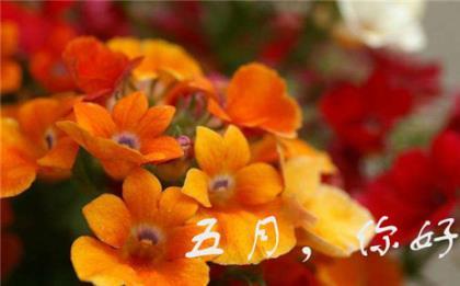 旅行唯美句子 今天是争取机会的日子