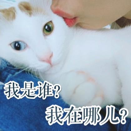 早安心语励志的语句 最新的早安晚安心语
