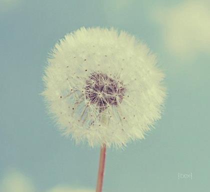 我认为学校组织的春游是一种幸福