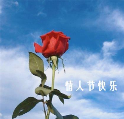 伤感的句子带人生感悟