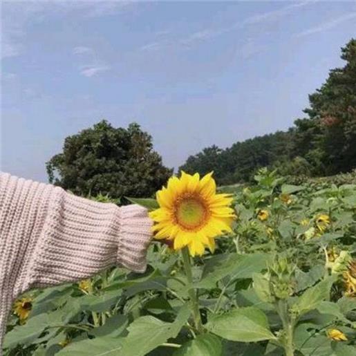 给女生问候早安幽默浪漫 逗老婆开心的话