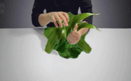 这里为单独一处，顾蓬万里行军