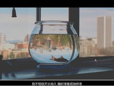 没电费了充了电费需要等多久 没电费停电了交了
