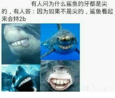 饺子顺口溜简短又有趣 全国交通安全日图片