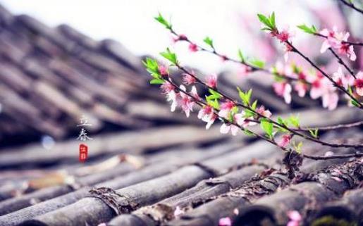 科比励志名言高清配图