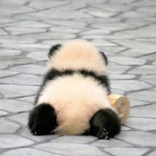 早安晨语短句 早上好的句子
