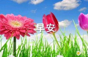 和女生早安的句子