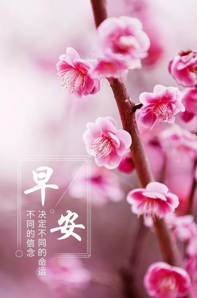 早安最美一句话,早晨充满正能量的句子