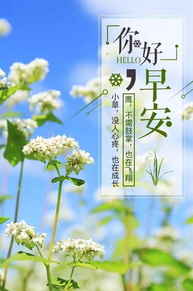 周末励志早安语录抖音短句,发朋友圈早安的句子