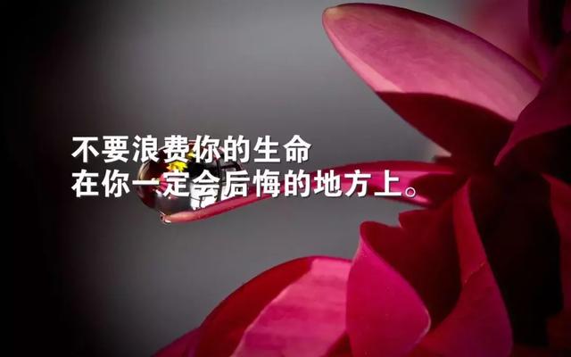 周末励志早安语录抖音短句,发朋友圈早安的句子